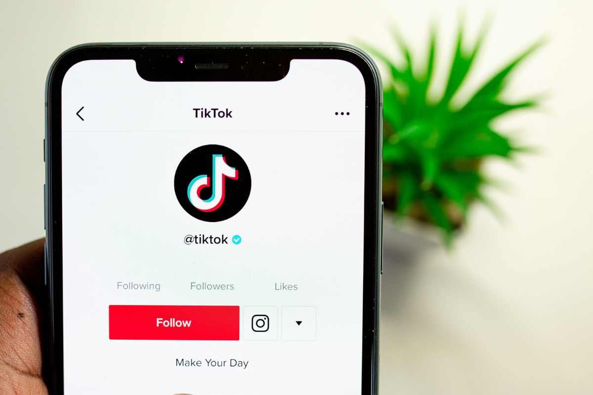 TikTok, il divieto del governo italiano