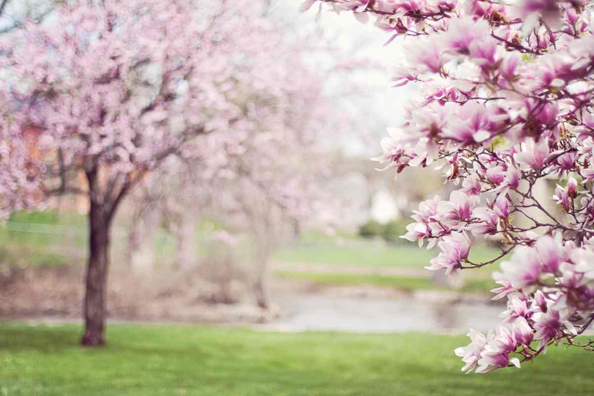 Le previsioni meteo della Primavera 2023