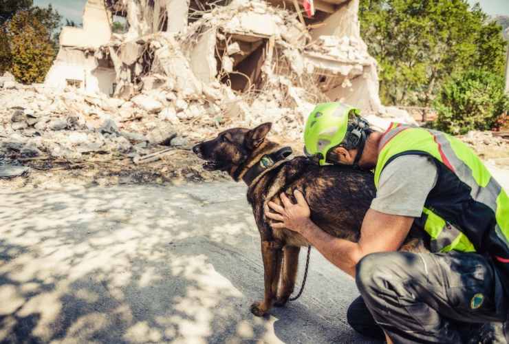 Risultati dello studio sulle previsioni sismiche degli animali